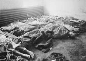 The auschwitz concentration camp (auschwitz is the german spelling of oswiecim) quickly although auschwitz i did have a gas chamber, the majority of the mass murdering occurred in auschwitz ii while some prisoners worked inside factories, others worked outside doing hard labor. History & Overview of Auschwitz-Birkenau