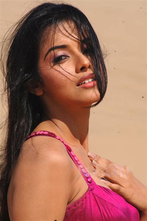 Bollywood entertainment at its best. Asin Hot Bollywood Actress, Asin Tamil Hot Actress Photos ...