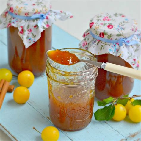 In order to guarantee a quality product, the fruits are picked at optimal ripeness during the high season. Pin by Tracie on Preserving | Plum jam, Plum jelly recipes ...