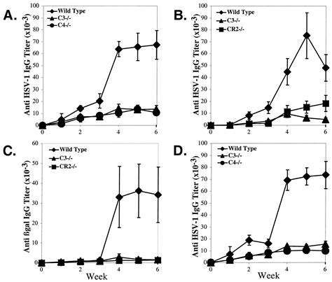 A primary infection with hsv is often. Awesome Hsv 1 Igg Type Specific Ab | Dan Tucker Auto