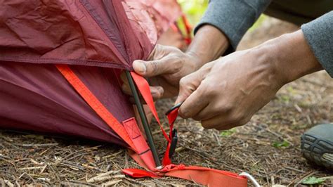 Any survival skills that your kids learn will help you put your mind at ease as well as being great family bonding when you teach them. The 5 Most Common Mistakes When Setting Up Your Tent ...