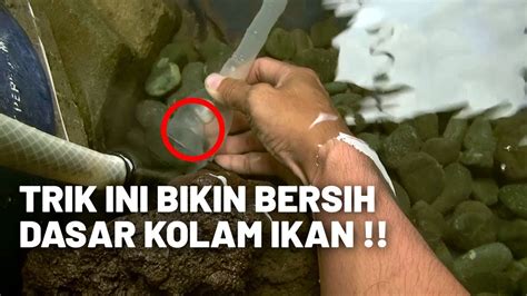 Untuk sebuah kolam kecil, ikan filter kolam bisa sangat sederhana. CARA MEMBERSIHKAN DASAR KOLAM IKAN KOI - YouTube