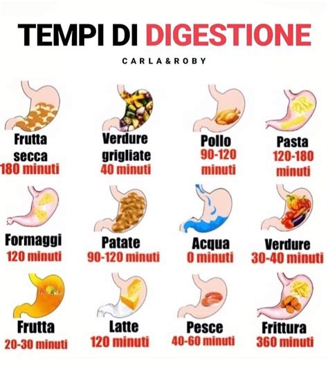 Parecchie teorie sono in circolazione circa la durata della digestione, specialmente quando si tratta di mangiare sequenziale e abbinamenti. Tempi di #digestione di alcuni alimenti! #Herbalife # ...