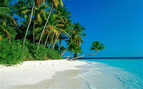 Which is the best tropical island beach in the world? Tropical Island Backgrounds - Wallpaper Cave