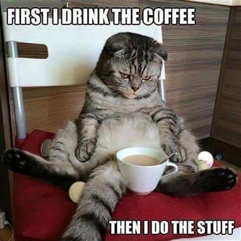 Discover the magic of the internet at imgur, a community powered entertainment destination. 50 Funny Coffee Memes to laugh all the way to the cafe