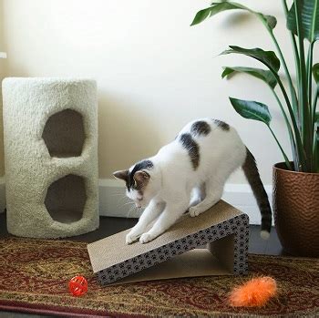 Best 6 Ramp Scratchers For Cats You Should Consider In 2021