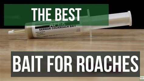 Find do it yourself pest control. The Best Gel Bait For German Cockroaches Guaranteed | Pest control, German cockroach, Pests