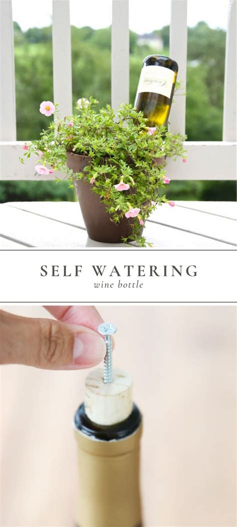 Get a glass bottle with a narrow neck. How to Water Plants While Away | Plants in bottles, Wine ...