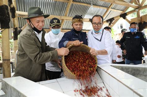 Dewan perniagaan melayu malaysia negeri melaka. MenkopUKM Pastikan Reaktivasi Kegiatan Usaha KUKM Kopi ...