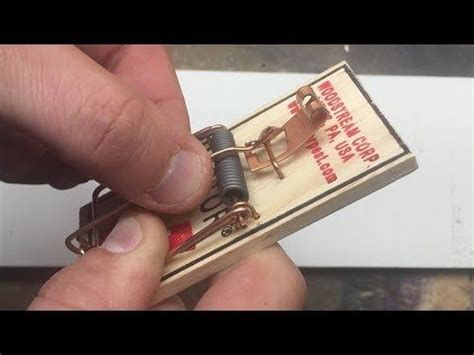 The door is attached to the spring and the bait stand is what closes the door i find this method of mouse trapping works best for outdoors or garage mice. How to Set a Victor Mouse Trap - YouTube | Mouse traps ...