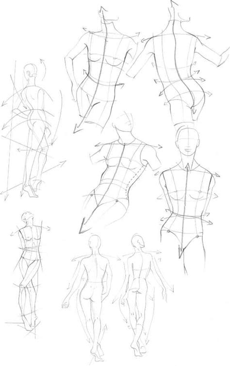 Wasn't happy with my drawings the last couple of days.like i was getting rusty lol so i spent a few minutes sketching the male body form as practice u. The Upper Body - Figure Drawing - Martel Fashion