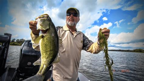 I know there are a lot of painting schedules out in the market, and each one has its own special technique. How Largemouth Bass Relate to Weed Edges