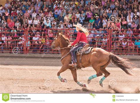 Eine russische frau respektiert stärke. Galoppierendes Pferd Und Cowgirl Konkurrieren Und Rasen ...