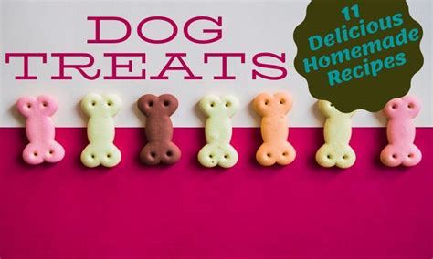 They're perfect for long, dedicated training sessions. 11 Delicious Homemade Dog Treats Recipes | Step by Step Method