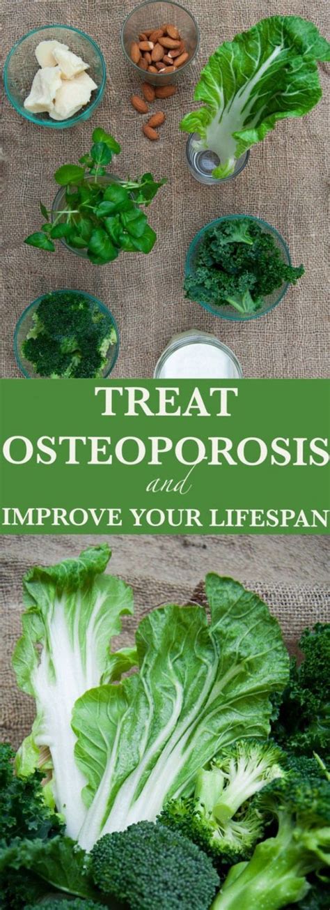Is zucchini high in calcium. high calcium foods osteoporosis #JointPainrelief in 2020 ...