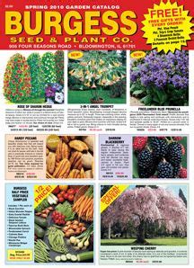 Garden catalogs plant catalogs seed catalogs hydroponic gardening container gardening gardening tips planting bulbs planting seeds cactus plants. Burgess Seed & Plant Co. Website | Seed catalogs, Plant ...