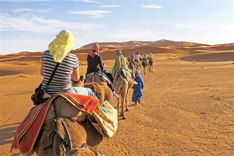 Sure, you can have camel safari in mehrangarh fort in jodhpur. Enjoy Exotic Camel Safari in Rajasthan - Thomas Cook India ...