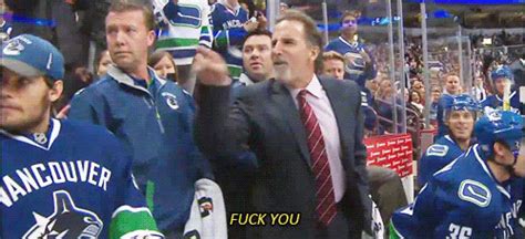 We regularly add new gif animations about and. torts gifs | Tumblr