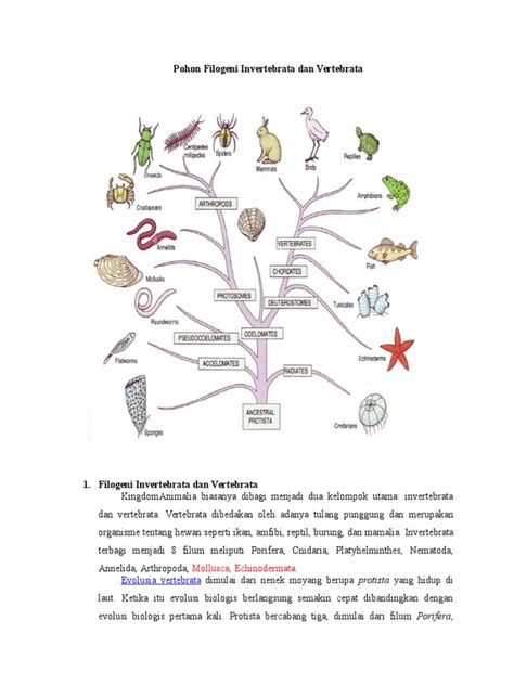 Angka setelah nama cockroach mengindikasikan. hewan-langka2016: Evolusi Invertebrata Images