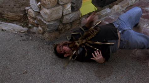 They do not have any venom glands and they digest their food inside not outside their body. Camel Spiders