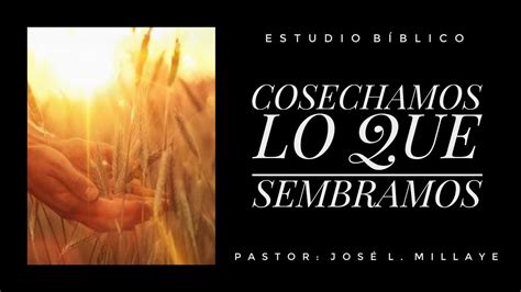 Maybe you would like to learn more about one of these? 'COSECHAMOS LO QUE SEMBRAMOS' - YouTube