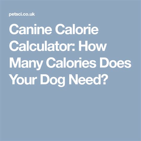 But how do you know how many calories you need? Canine Calorie Calculator: How Many Calories Does Your Dog ...