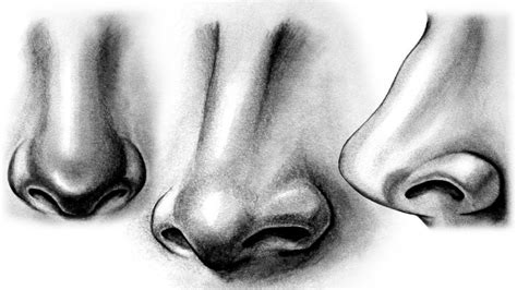 Learn how to create a variety of nose shapes using this method! How to draw a Realistic Nose - YouTube