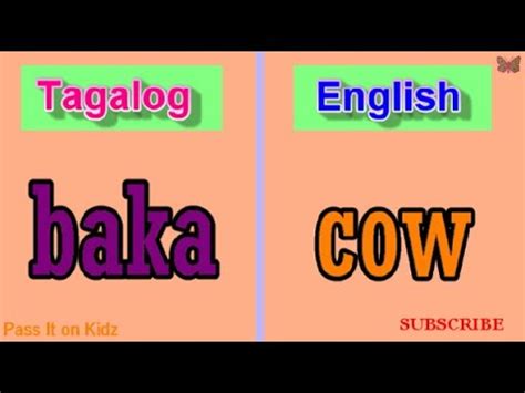 (a), provides that no person shall, on the basis of sex, be excluded from participation in, be denied the benefits of, or be subjected to discrimination under any academic, extracurricular, research, occupational training, or other education program or activity operated by a. Animal Names in Tagalog with English Translation - YouTube