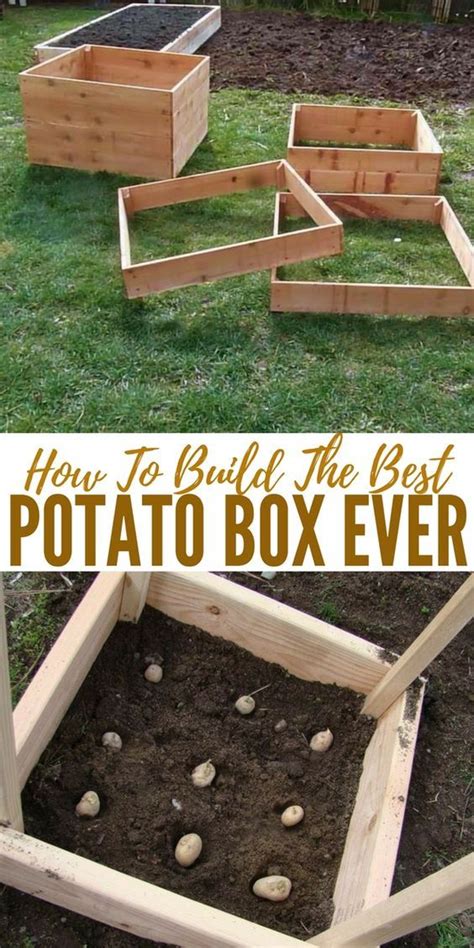 We did not find results for: How To Build The Best Potato Box Ever | SHTFPreparedness ...