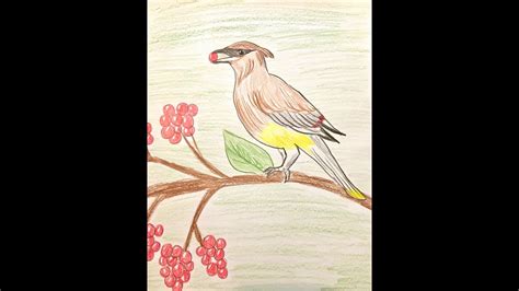 How to draw a flying bird for 1st grade kids, video is step by step easy drawing for kids. How to Draw a Bird - YouTube