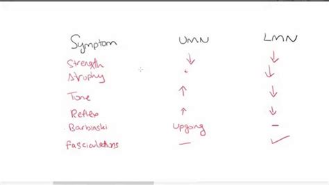 Lumbar lesions can produce mixed umn and lmn neuron signs in the lower. UMN LMN lesions | Motor neuron, Neurons, Math