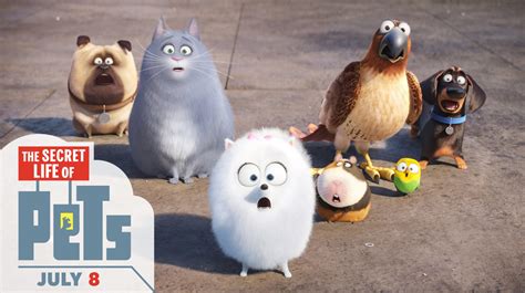 Afterward, they go to the hives and listen to the secret sounds bees make while inside their homes. Latest 'Secret Life of Pets' Trailer Unleashed