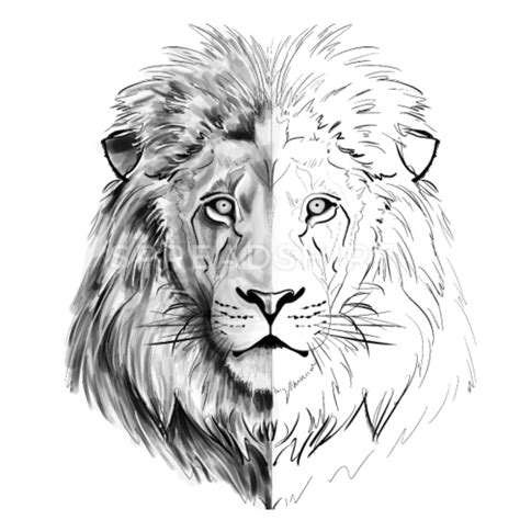 Löwe zeichnen lernen einfach schritt für schritt für anfänger & kinder 8. Löwen Bilder Gezeichnet - Vorlagen zum Ausmalen gratis ...