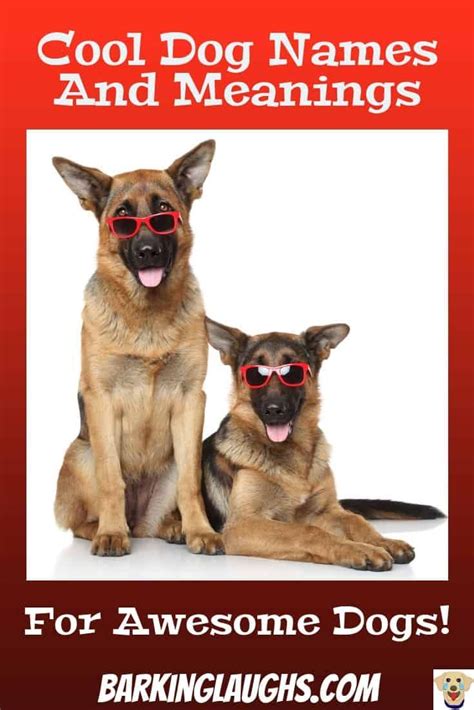 You don't have to own a german shepherd, irish setter, or french poodle to appreciate these foreign choices. Awesome Cool Dog Names and Meanings! | Dog names, Best dog ...