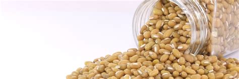 This particular heating can best be achieved simply. 7 Soya Bean Benefits on Health Infographic