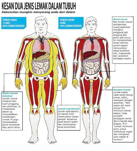 Apabila terlalu banyak kolesterol yang melalui saluran darah. 5 Tips kurangkan lemak dalam badan dengan cepat dan ...