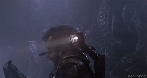 Aliens, directed by james cameron, was released in 1986 and still managed a claustrophobic feel as it expanded the number of xenomorphs and essentially turned the movie into a franchise. James Cameron Aliens Movie GIF by Aliens - Find & Share on ...