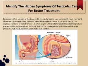 There may be no real pain, at most just a dull ache in the lower abdomen or groin, perhaps a sensation of dragging and heaviness. Identify the hidden symptoms of testicular cancer for ...