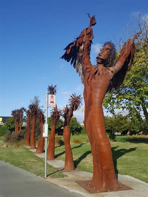 They grow all over the country, but prefer wet, open areas like swamps. Cabbage Tree Man | discoverywall.nz