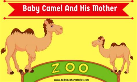 It slightly bent its legs while crossing the river. Baby Camel And His Mother - Bedtimeshortstories