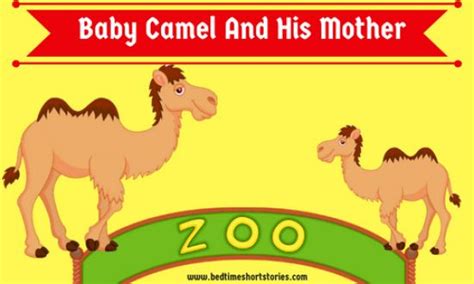 The punctuation marks are various. Baby Camel And His Mother - Bedtimeshortstories