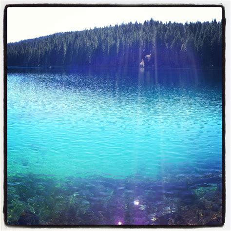 Clear lake cabin lookout is situated on the southern slope of mt. Clear Lake, Central Oregon | Oregon outdoors, Washington ...