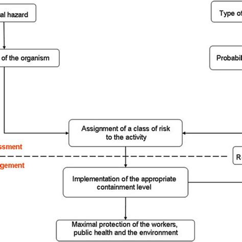 Thorough risk assessment of both the cell cultures and the type of manipulation prior. (PDF) Biosafety Recommendations on the Handling of Animal ...