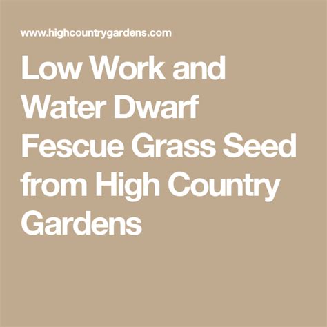 Appearing very similar to traditional fescue in blade shape. Low Work and Water Dwarf Fescue Grass Seed | Fescue grass ...