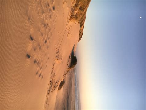 Home cabins & chalets about weather contact events photos home cabins & chalets about weather contact. Sand Dunes of Oregon - That One Adventure Couple