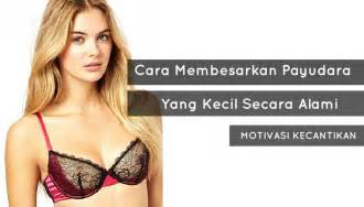 Cara memperbesar payudara yang alami adalah dengan mengonsumsi makanan yang dapat merangsang produksi hormon cara memperbesar payudara selanjutnya adalah lidah buaya. Cara Membesarkan Payudara yang Kecil Secara Alami ...