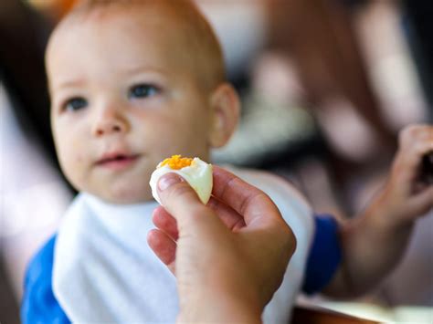 You introduce to your baby who is showing signs of allergy or intolerance? Introducing Dairy To Milk Allergy Infant : Food Allergies ...