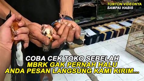 Dalam suatu sekolah pasti ada beberapa siswa yang memiliki latar belak. Cek Toko Sebelah. MBRK Gak Pernah Halu. Pesan Langsung ...