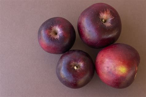 Apple scab can be controlled by chemical sprays; Arkansas Black Apple - Chestnut Hill Nursery