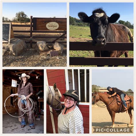 We want to inspire you to cook, relax, decorate, ride and enjoy life. I wanna be a cowgirl weekend retreat at Www.horsespeak.com ...